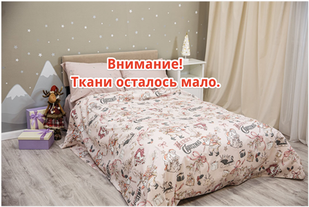 Детское постельное бельё Sweet Dreams Merry Christmas (на резинке + молния)