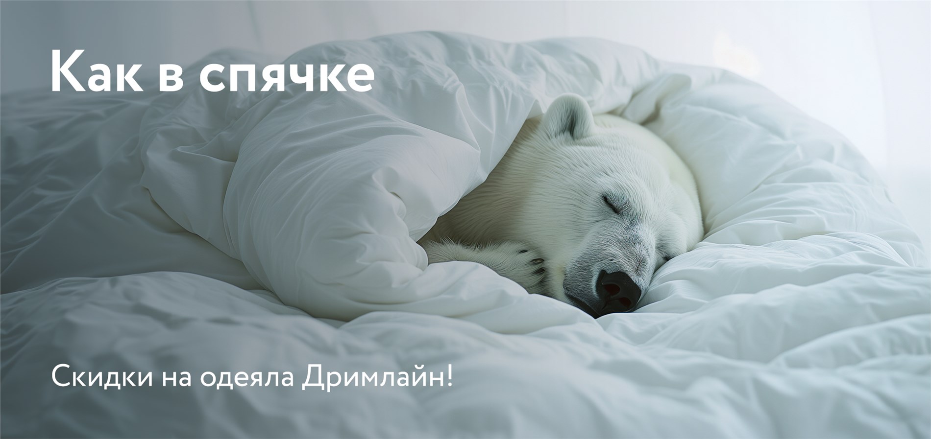 Выбери свое одеяло от Dreamline! Выбери свое одеяло от Dreamline!