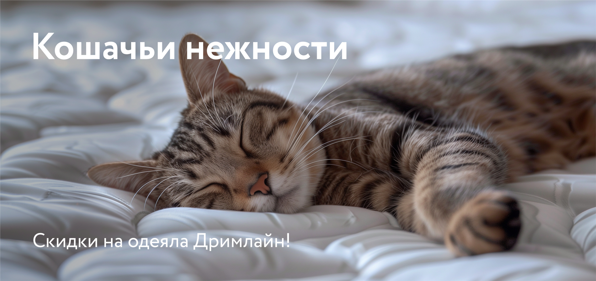 Выбери свое одеяло от Dreamline! Выбери свое одеяло от Dreamline!